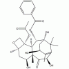 10-脫乙?；涂ǘ?III CAS 32981-86-5